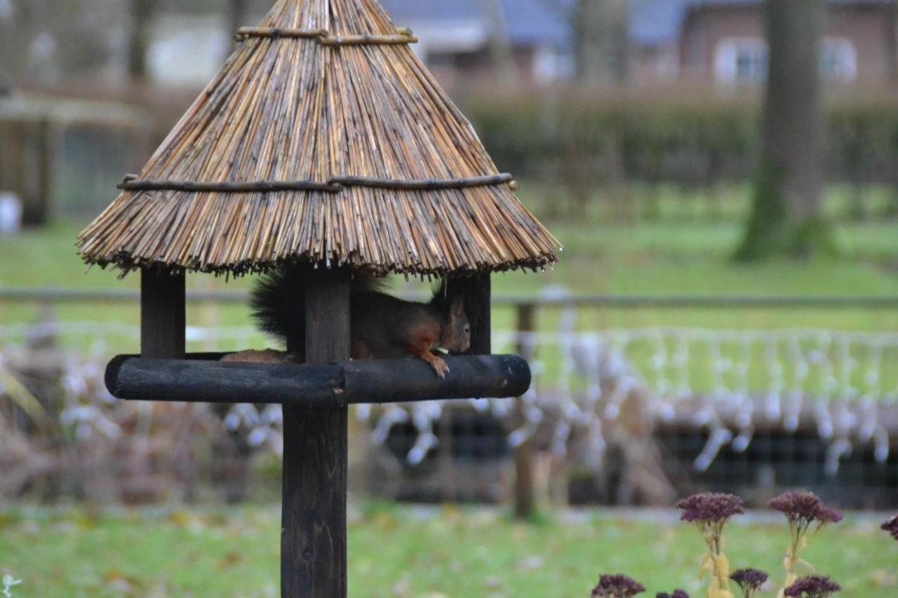 Villa Reiger Appelscha Esterno foto